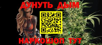 крисы Донской